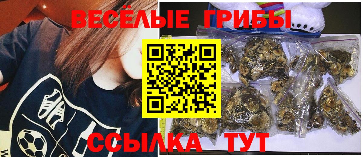 Малоярославец  Галлюциногенные грибы Cubensis  Псилоцибиновые грибы Cubensis  Вход с VPN 